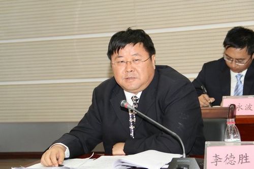 自治区公安厅厅长李德胜回答询问.(南海生/摄)