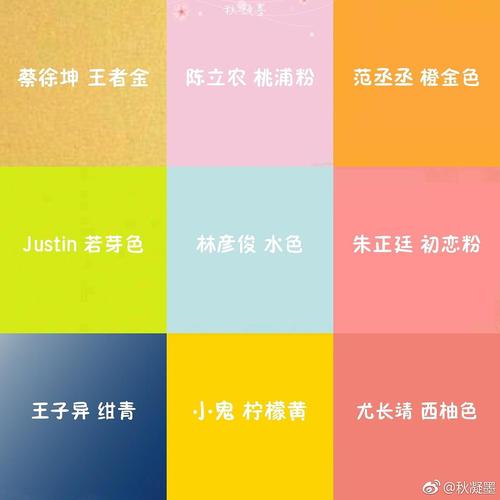 你们竟然不知道npc九家的应援色