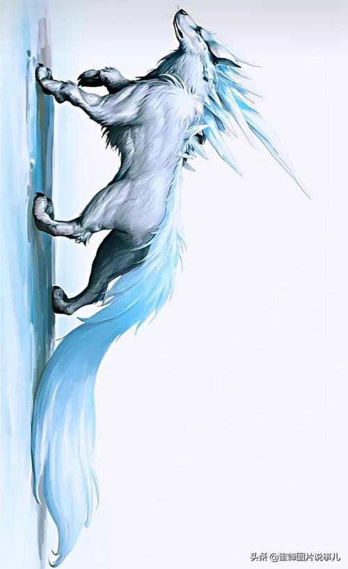 霸气侧漏的壁纸美图