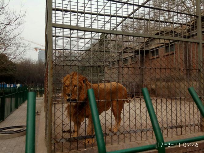 2019丛台公园_旅游攻略_门票_地址_游记点评,邯郸旅游