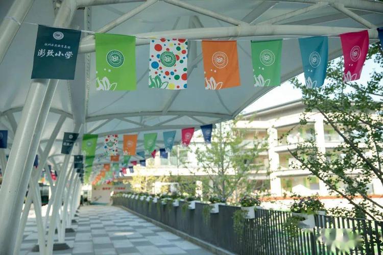 有一门数独课程只有2个学生选择杭州市澎致小学澎致小学让孩子内蕴