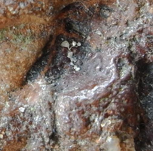  p>六方晶系陨石钻石的国际学名为(lonsdaleite),通常直译为"蓝丝黛尔