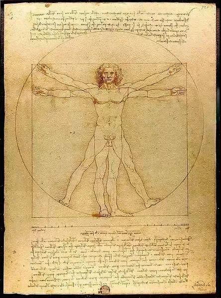 达芬奇手稿世界万物的规则