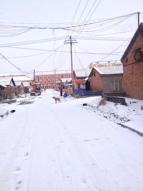 漠河县天气预报