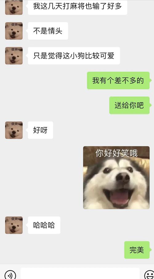 你好好笑哦