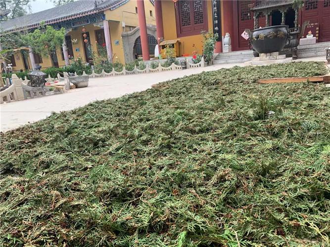 净域柏子香制作第二步