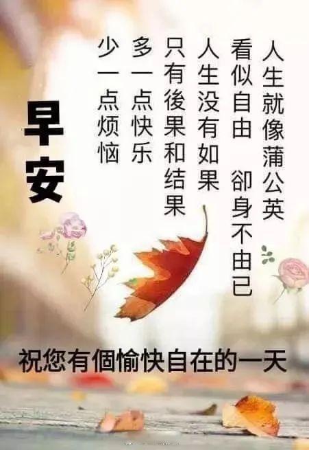 早晨微信群发早上好动态表情图片最漂亮早安问候语动态图片