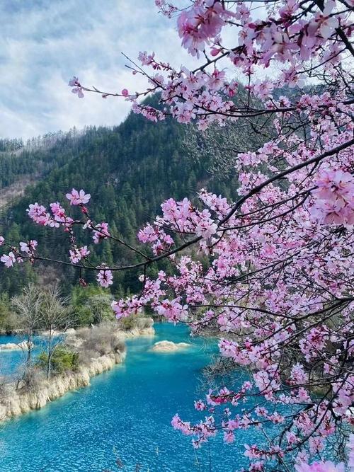 春天的九寨沟,风景美如画,春暖花开,万物复苏,又到了一年中九寨沟