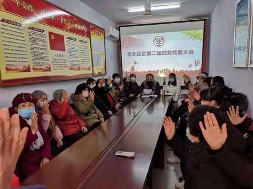 巾帼心向党 共谱新篇章——湖滨街道黄北社区妇联换届选举工作顺利