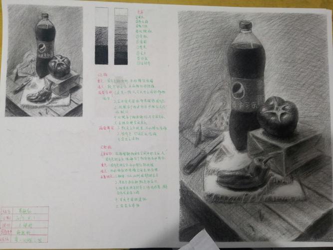 基础部素描静照片写生小稿和完整稿之可乐瓶与水果组合