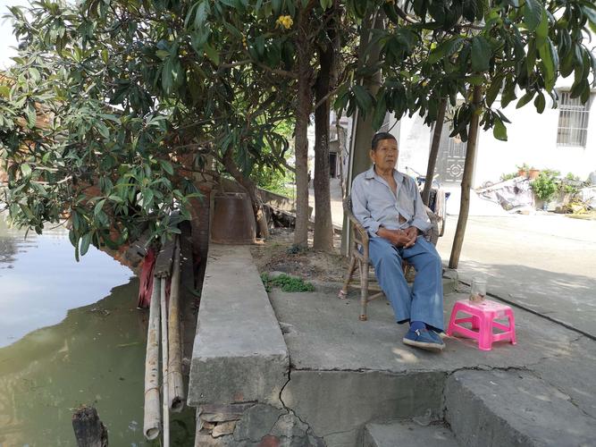 树下乘凉,悠闲自得