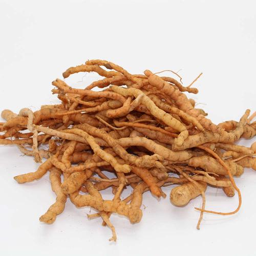 野生新鲜生地黄根农家现挖新鲜小地黄根菊花心有生地汁500克包邮