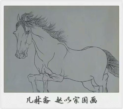 《马》国画白描 赵以宗