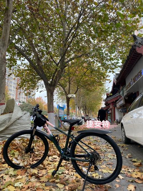 捷安特山地车_山地车_自行车_捷安特liv_出行_出行其他