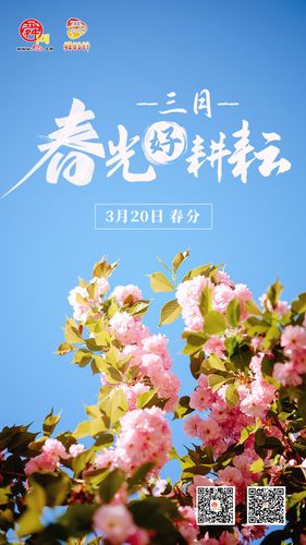 阳光明媚勤耕耘 莫负三月好春光
