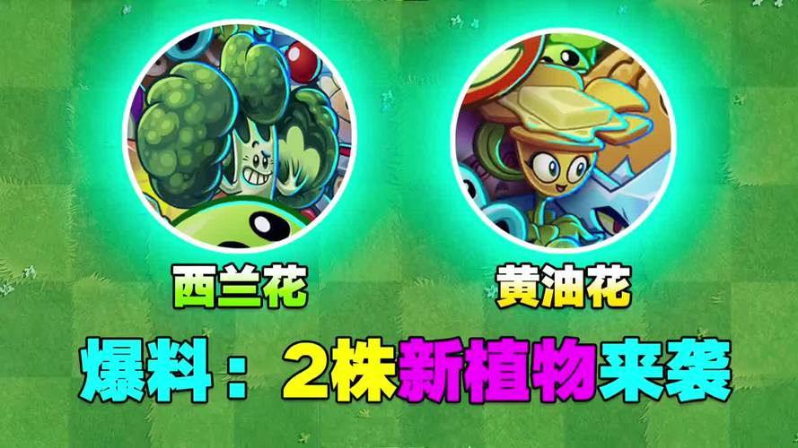 浓情腊八pvz2爆料2株新植物来袭西兰花黄油花
