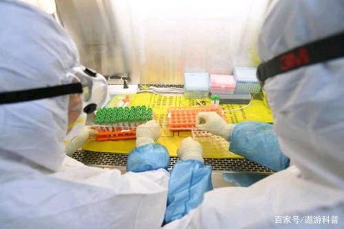 核酸究竟是怎么检测病毒?为什么说它是诊断新冠肺炎的