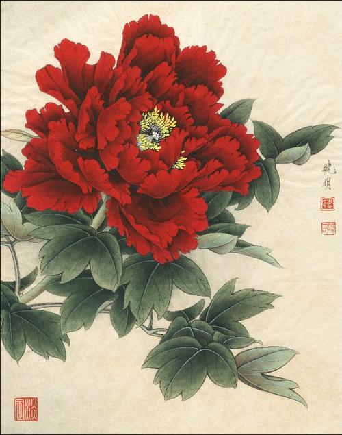 李晓明工笔牡丹专辑