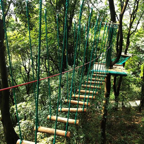 【六一专场】"飞越丛林"(天鹿湖森林公园),树上探险乐园,锻炼孩子体能