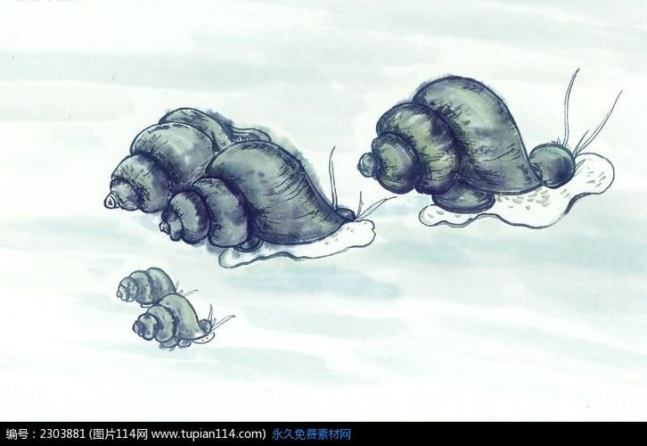 深青色的田螺水墨画