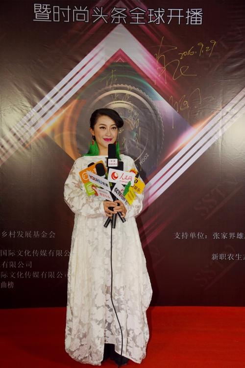 著名主持人禾麻迪娜公主亮相时尚春晚新闻发布会(副本