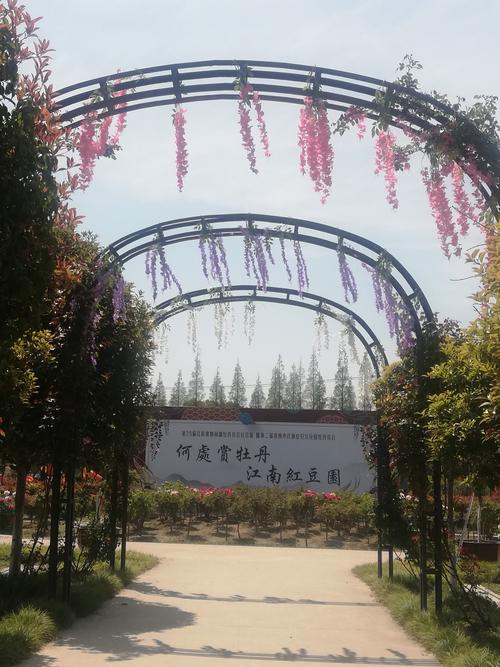 其它 游赵市红豆文化园 写美篇   常熟江南红豆了文化园成立于2015年7