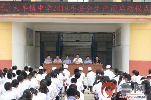 东平县大羊镇中学2019年安全生产周启动仪式举行