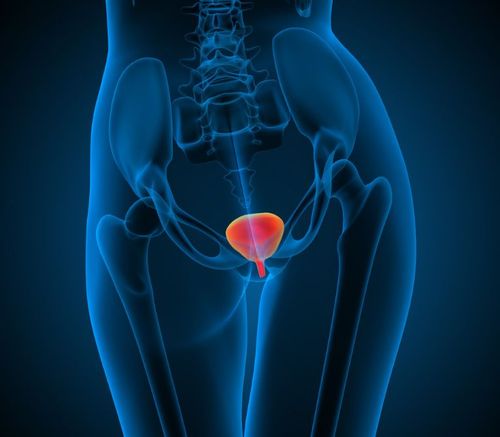 8万人;膀胱癌领域,我国男性发病率/死亡率要明显高于女性.