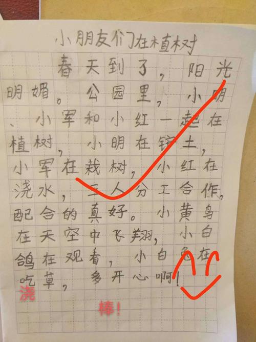 志成学校1905班--(看图写话)种树