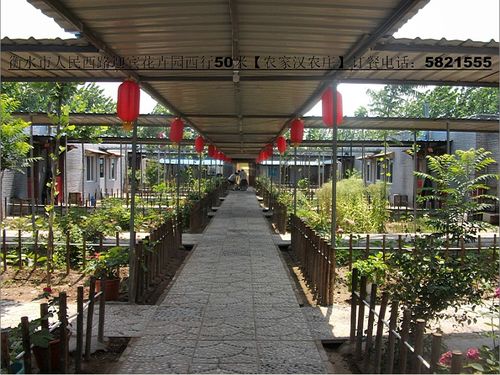 衡水农家汉农庄,在这样一个农家大院式的饭店吃饭,享受啊.