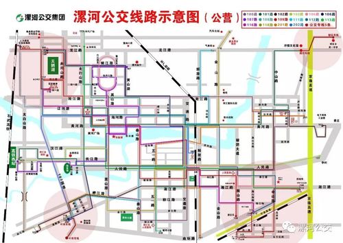 视频我市新增260台纯电公交车开通4条新线路