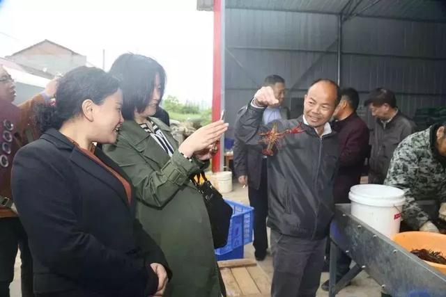 公安县闸口镇又多了一个"国字号"品牌!