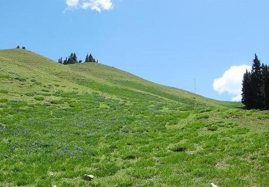 庙尔沟瀑布风景区