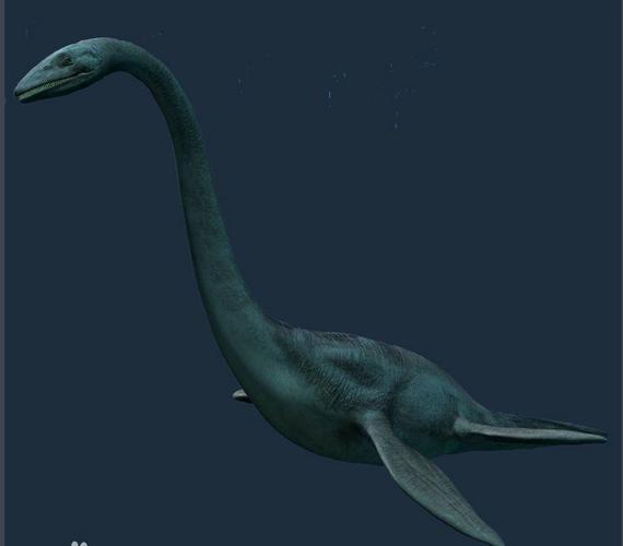 妙趣手工坊宅家课堂神奇的蛇颈龙