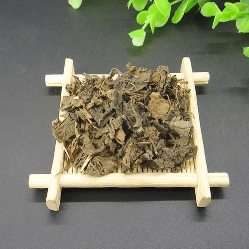 紫苏叶的功效与作用及禁忌