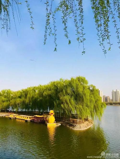 洛浦公园开满了各种花,洛阳春天游人有多快乐