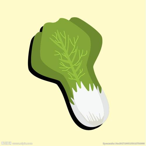 卡通青菜图片