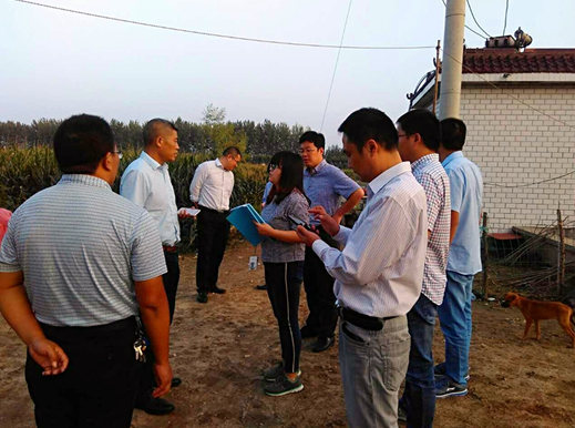 孟兴庄镇:市国土局领导对孟兴庄镇复垦地块调研-灌南
