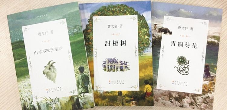 草房子 正版曹文轩文集三角地 青铜葵花 山羊不吃天堂草 根鸟 细米