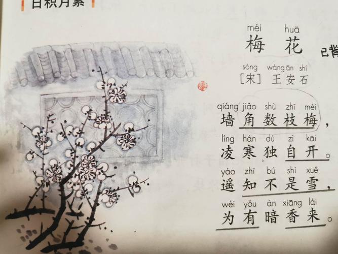 【班班共读】打卡语文书第三课《植物妈妈有办法》古诗《梅花》.