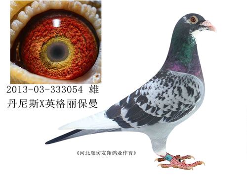 丹尼斯x英格丽保曼