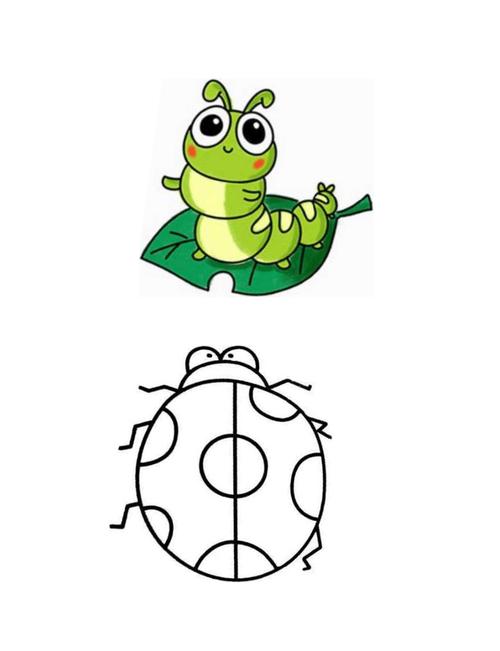 第14课虫虫虫一