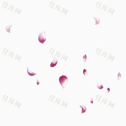 花瓣飘落素材