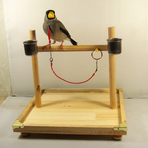 训练鹦鹉蜡嘴伯劳八哥鹩哥实木站架子息架站笼站台站杠原创