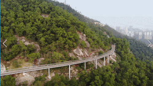 板樟山山地步道