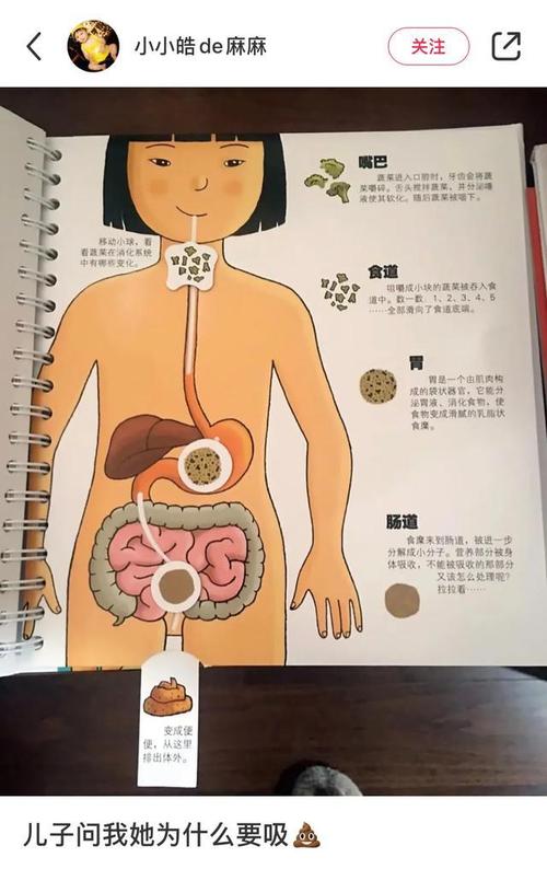 和孩子一起看身体结构绘本时哈哈哈差点解释不清了