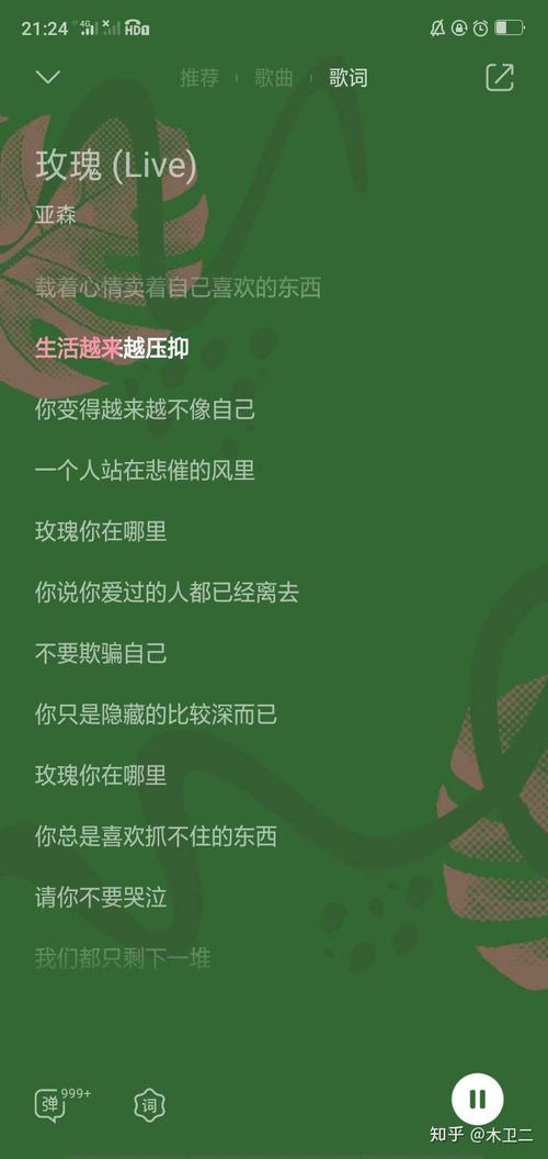 1,《玫瑰》——亚森版本