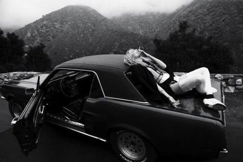 decapitate animals 性感