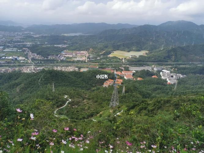 黄杨山爬山_平塘新村公交站自由行热门攻略_景点_爬山