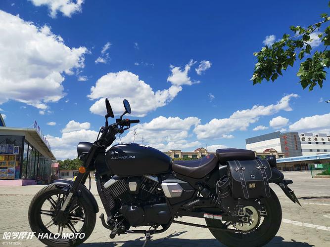 龙嘉v途250